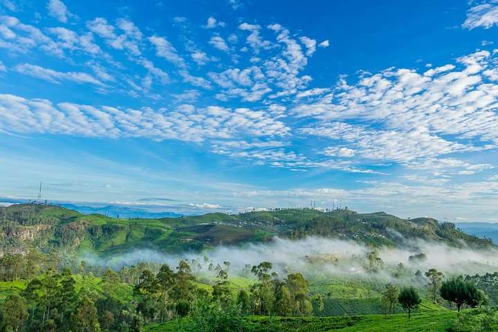 Lipton's Seat and Tea Factory,Trail Amidst Tea Plantation Day Tour  - Photo 1 of 6